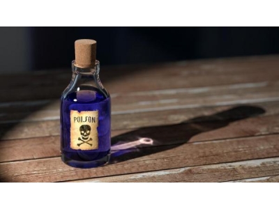 10 THỨ QUEN THUỘC TRONG NHÀ BẠN CÓ THỂ SẼ GIẾT CHẾT MÈO 10 THỨ QUEN THUỘC TRONG NHÀ BẠN CÓ THỂ SẼ GIẾT CHẾT MÈO