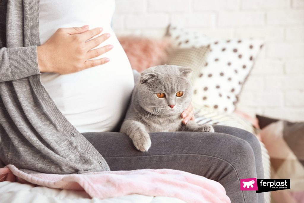 NHỮNG ĐIỀU NGƯỜI NUÔI MÈO NÊN BIẾT VỀ KÝ SINH TRÙNG TOXOPLASMA TRÊN MÈO 1